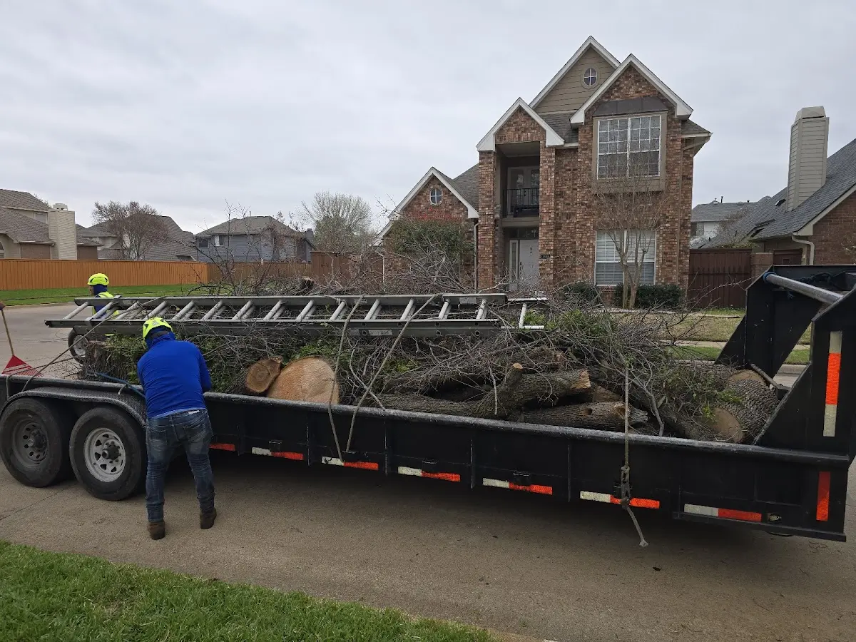 Expert Crown Reduction with proper safety equipment in Blackduck